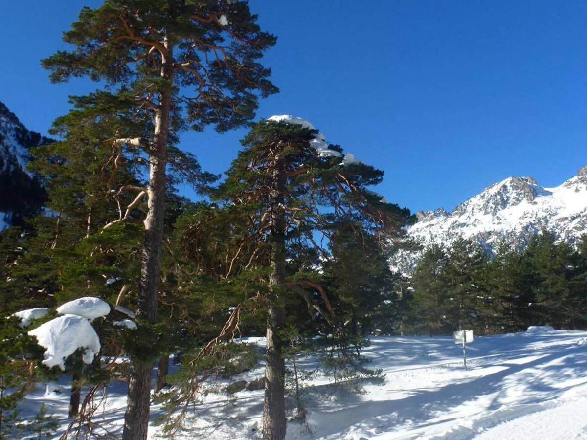 Appartement T2 Bis Cauterets - 50M Telecabine Et Thermes - 4/6 Pers - Parking Gratuit - Fr-1-234-300 외부 사진